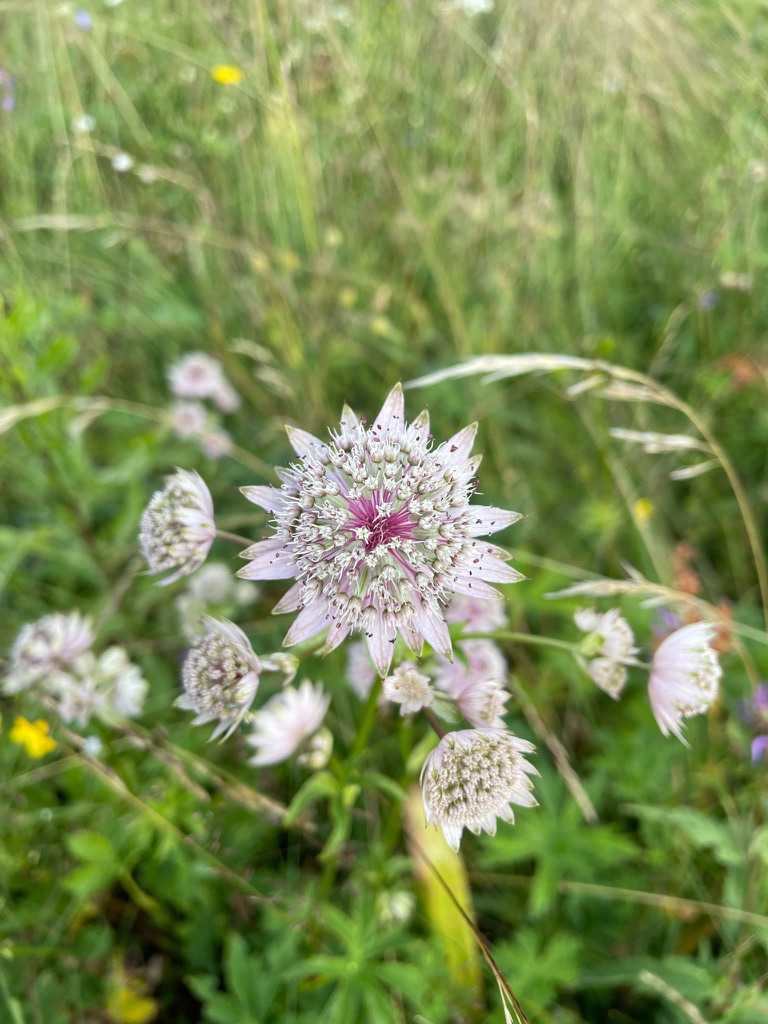 Psychotherapie – ein verlässlicher, geschützter Rahmen